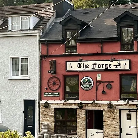 In The Country Yet Close To Town * Donegal Town